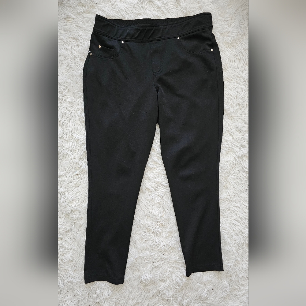 Black Stretch Jegging Pants | Pull-On Skinny Fit | Size 2X